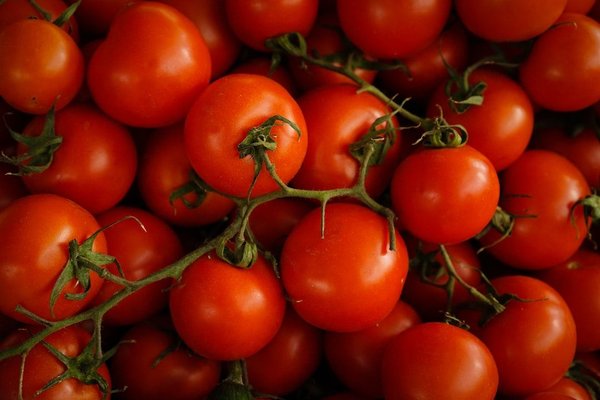 Quel légume à  mettre au frigo ?